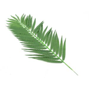 EUROPALMS Coconut Palm Branch 110cm 12x