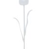 EUROPALMS Crystal tulip, clear 61cm 12x