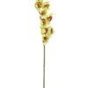 EUROPALMS Cymbidium spray, green, 90cm