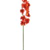 EUROPALMS Cymbidium spray, red, 90cm