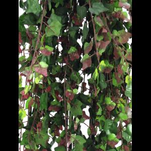 EUROPALMS Deluxe ivy tendril, green-red 160cm