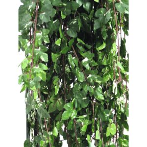 EUROPALMS Deluxe vine tendril, 160cm