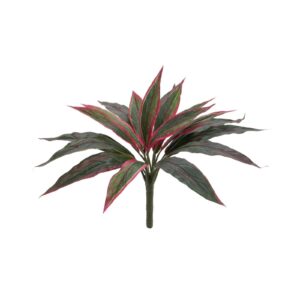 EUROPALMS Dracena, red-green, 27cm