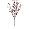 EUROPALMS Eucalyptus spray, red, 110cm