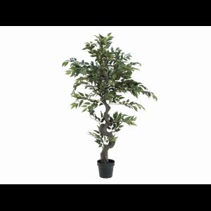 EUROPALMS Ficus Forest Tree, 110cm