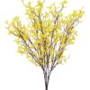 EUROPALMS Forsythia bush, 60cm