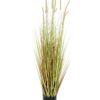 EUROPALMS Fountain grass bush, 120cm