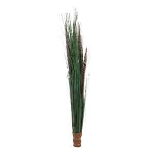 EUROPALMS Fountain grass with panicles, 96cm