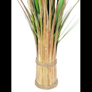 EUROPALMS Fox grass, 150cm