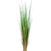 EUROPALMS Fox grass, 150cm