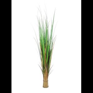 EUROPALMS Fox grass, 150cm