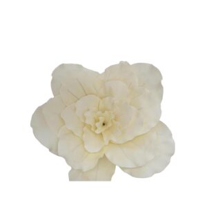 EUROPALMS Giant Flower (EVA), cream white, 80cm