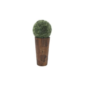 EUROPALMS Grass ball, 29cm