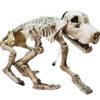 EUROPALMS Halloween Skeleton Dog, 71x40x25cm