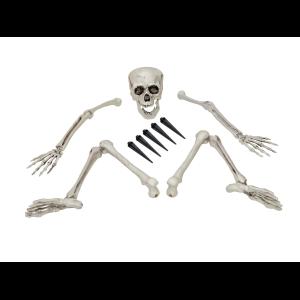 EUROPALMS Halloween Skeleton, multipart