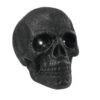 EUROPALMS Halloween scull 35x35 with LED