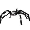 EUROPALMS Halloween spider 70x14x5