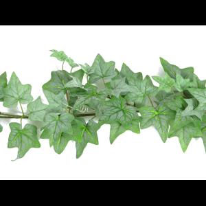 EUROPALMS Ivy garland, green, 180cm