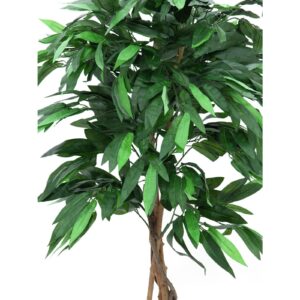 EUROPALMS Jungle tree Mango, 150cm