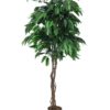 EUROPALMS Jungle tree Mango, 180cm