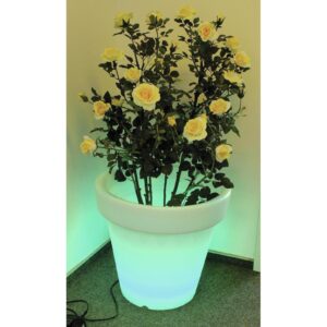 EUROPALMS LED Flower Pot 67x64cm