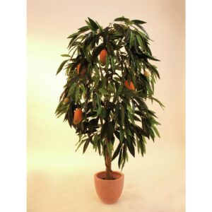 EUROPALMS Mango tree with fruits, 165cm