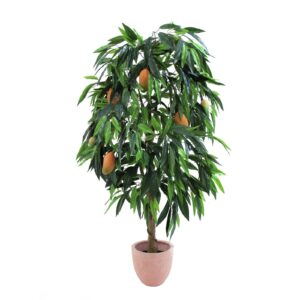 EUROPALMS Mango tree with fruits, 165cm