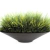 EUROPALMS Mixed grass, 40cm