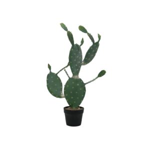 EUROPALMS Nopal cactus, 76cm