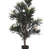 EUROPALMS Oleander tree, white, 120 cm