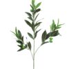 EUROPALMS Olive branch with fruits 68cm 6x