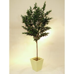 EUROPALMS Olive tree with fruits, 250cm