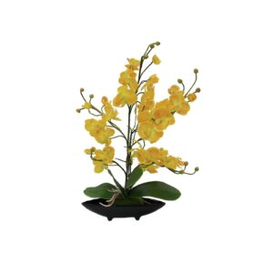 EUROPALMS Orchid Arrangement EVA, yellow