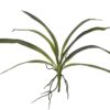 EUROPALMS Orchid leaf (EVA), green, 45cm