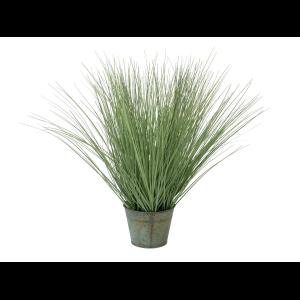 EUROPALMS Ornamental grass, 65cm