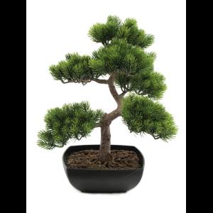 EUROPALMS Pine bonsai, 50cm