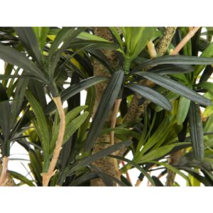 EUROPALMS Podocarpus tree, 115cm