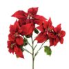 EUROPALMS Poinsettia bush, red, 60cm