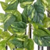 EUROPALMS Pothos bush garland MAXI, 90cm