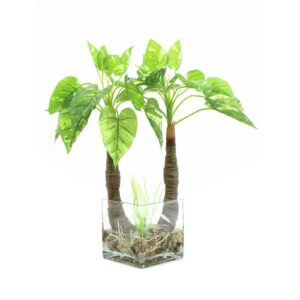 EUROPALMS Pothos in glass, 50cm