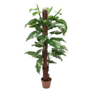 EUROPALMS Pothos on trunk, 150cm