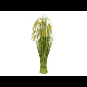 EUROPALMS Reed Grass Bunch 118cm