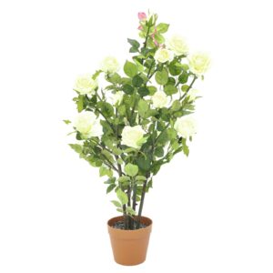 EUROPALMS Rose shrub, cream, 86cm