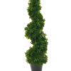 EUROPALMS Spiral Tree, 61cm