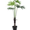 EUROPALMS Split Philo Plant, 120cm