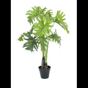 EUROPALMS Split Philo Plant, 90cm