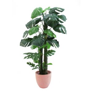 EUROPALMS Splitphilodendron, 160 cm