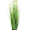 EUROPALMS Star grass, 105cm