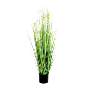 EUROPALMS Star grass, 105cm