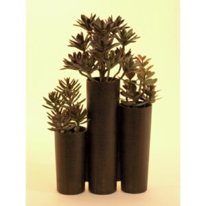 EUROPALMS Succulent trio, 43cm